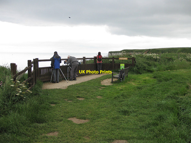 Photo 6"x4" Staple Newk viewing platform Bempton c2013