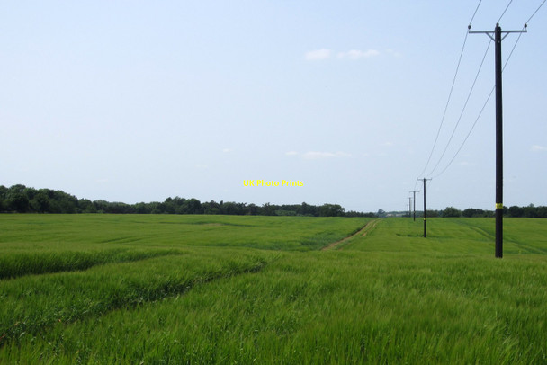 Photo 6"x4" New power lines in the barley field Addington\/SP7428 c2013