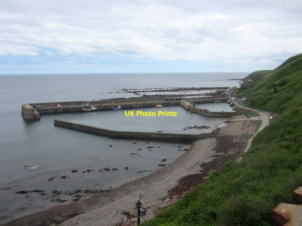 Photo 6"x4" Looking down towards Burnmouth Harbour Burnmouth\/NT9561 c2013