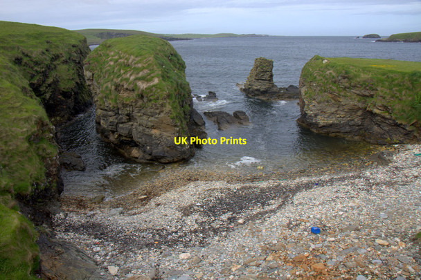Photo 6"x4" Osmis Geo, Westing Underhoull c2013