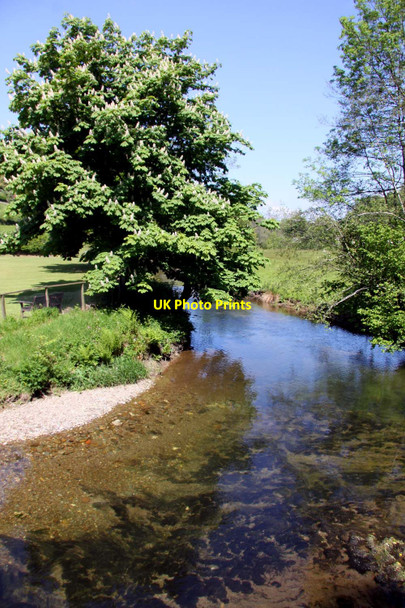 Photo 6"x4" The River Exe at Bridgetown Bridgetown\/SS9233 c2013