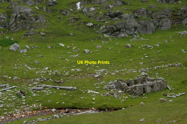 Photo 6"x4" Ruin at Woodwick Baliasta\/HP6009 c2013