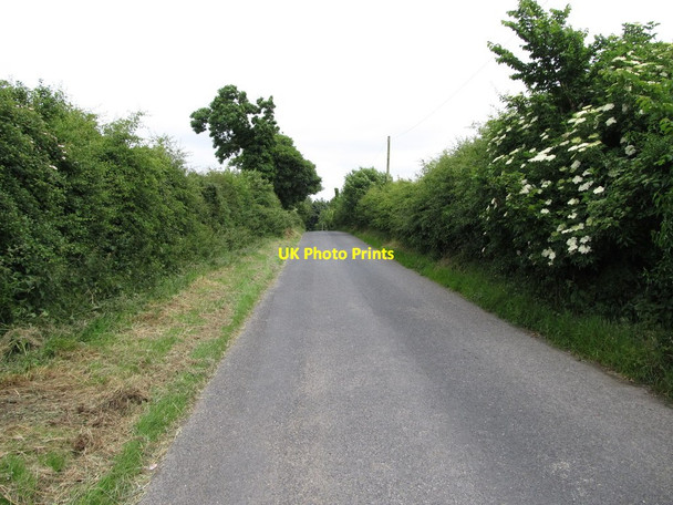 Photo 6"x4" View east along Audleystown Road Strangford\/J5849 c2013