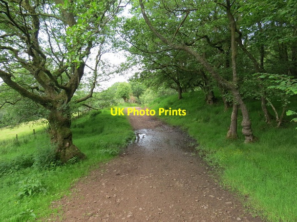Photo 6"x4" Ffordd y Bannau \/ The Beacons Way Twynllanan c2013