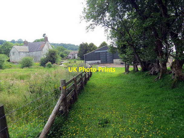 Photo 6"x4" Ffarm Blaensawdde \/ Blaensawdde Farm Talsarn\/SN7726 c2013