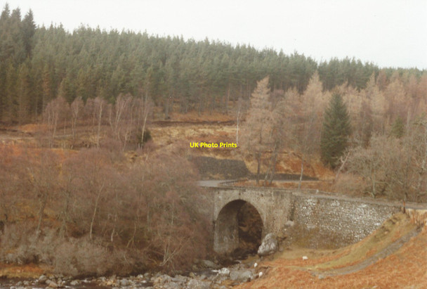 Photo 6"x4" Fearn Bridge Ardchronie c1994