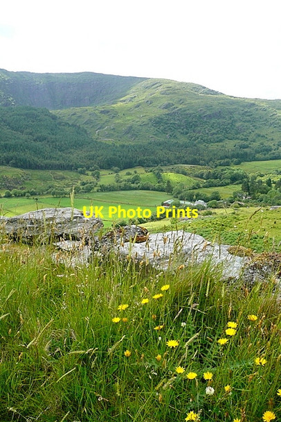 Photo 6"x4" View into Coomhola River valley Kealkill c2013