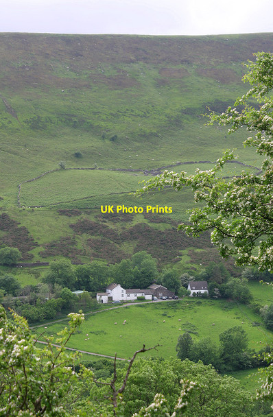 Photo 6"x4" Castle Farm, Capel-y-ffin Capel-y-ffin c2013