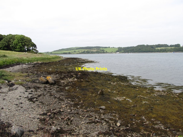 Photo 6"x4" The western foreshore of The Narrow north of Audley's Quay Strangford\/J5849 c2013