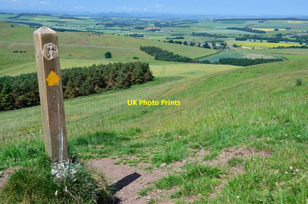 Photo 6"x4" A view from St Cuthbert's Way, Grubbit Law Morebattle c2013