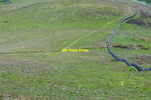 Photo 6"x4" Earthwork near Grubbit Law Morebattle c2013