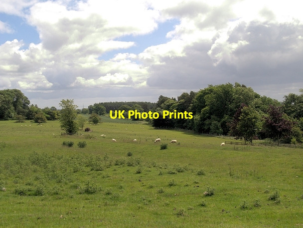 Photo 6"x4" Belsay Estate Belsay c2013