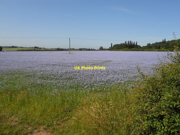 Photo 6"x4" Princethorpe Farmland Eathorpe c2013