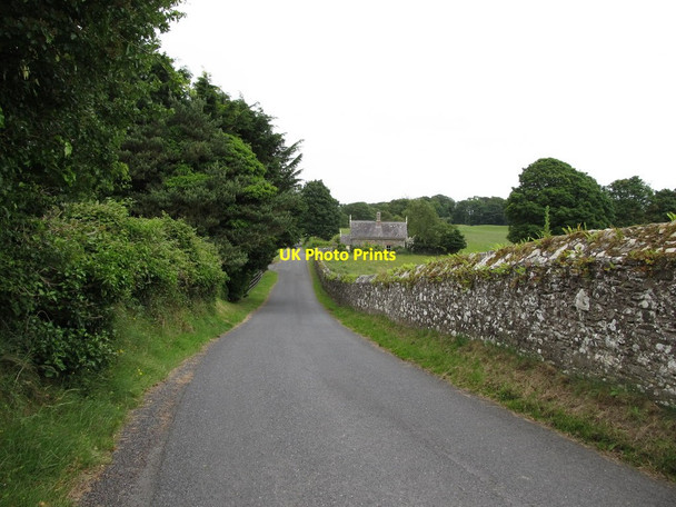 Photo 6"x4" Audleystown Road west of Castleward's North Lodge Strangford\/J5849 c2013