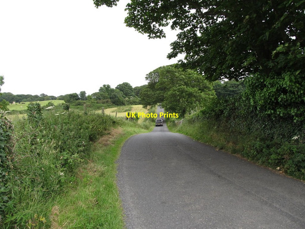Photo 6"x4" An undulating section of Audleystown Road Strangford\/J5849 c2013