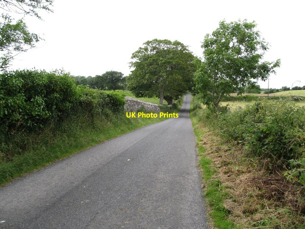 Photo 6"x4" View west along Audleystown Road Strangford\/J5849 c2013