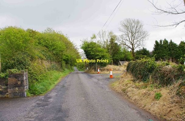 Photo 6"x4" The road through Ballyhickey near Quin, Co. Clare Quin c2013