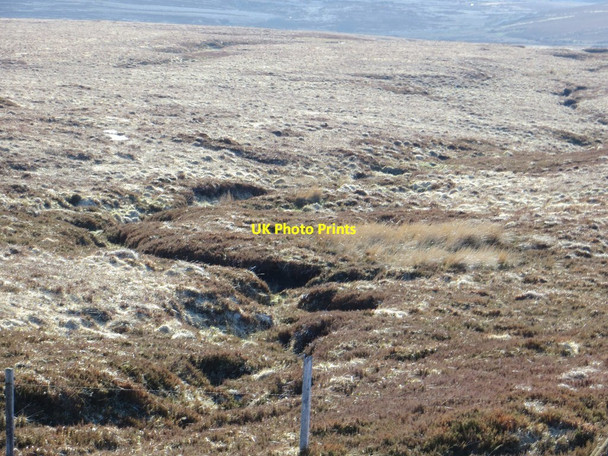 Photo 6"x4" Bog tributary of the Meadow Brook (Liffey system) Glencree c2013