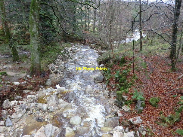 Photo 6"x4" Athdown Brook (Liffey system) by Kippure Estate gates Kilbride\/O0217 c2011