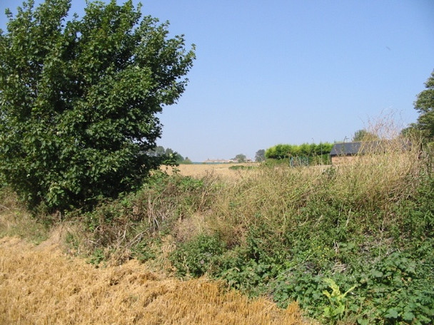 Photo 6"x4" New view in Eastry Buttsole c2008