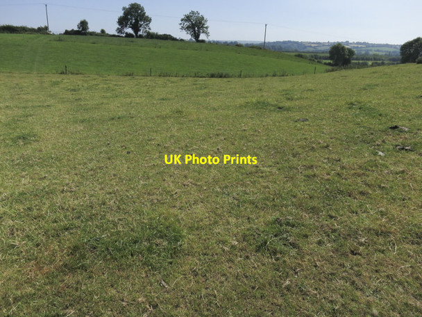 Photo 6"x4" Green Irish fields Cross Barry c2013