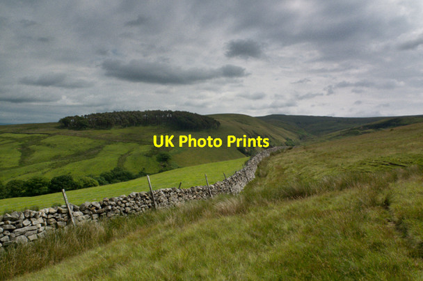 Photo 6"x4" Path to Foxdale Crossgill\/SD5562 c2013