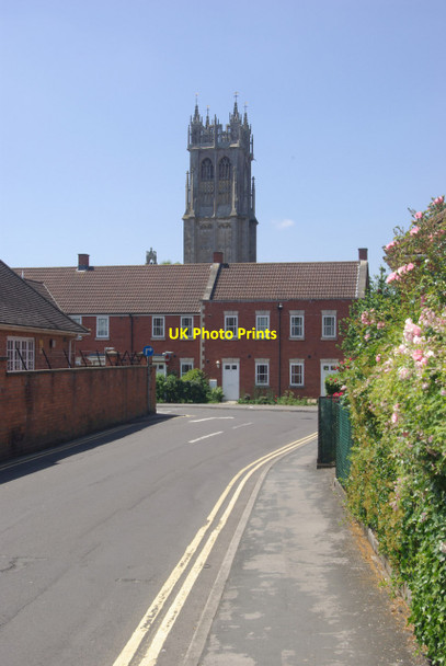 Photo 6"x4" Butt Close, Glastonbury Glastonbury c2013