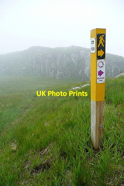 Photo 6"x4" On Sheep's Head Way Glanlough c2013