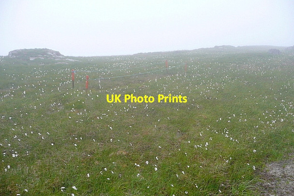 Photo 6"x4" On Sheep's Head Way Glanlough c2013