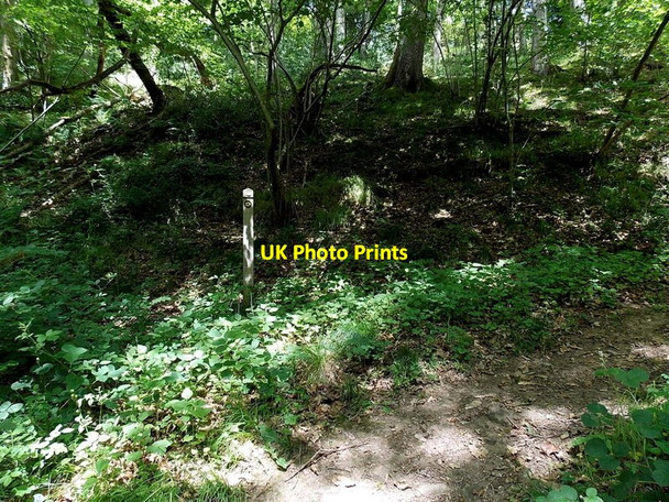 Photo 6"x4" Sharp bend in the track north of Afon Cletwr near Erwood Erwood c2013