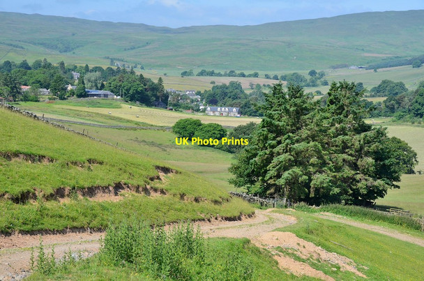 Photo 6"x4" Track to Howford Hill Brockhill\/NT3924 c2013