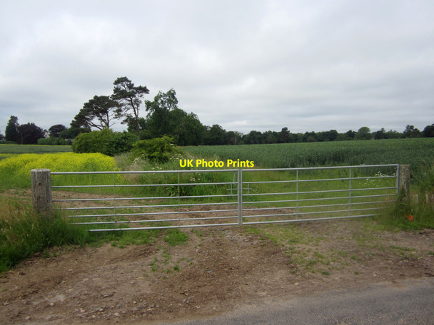 Photo 6"x4" Field gateway east of Edrington House Paxton c2013