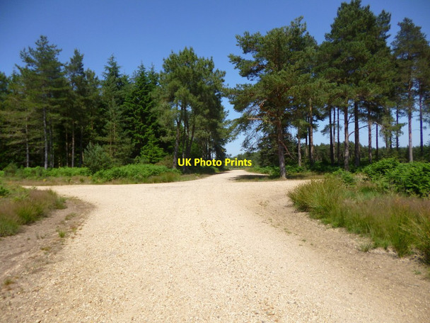 Photo 6"x4" Ringwood Forest, crossroads Lower Turmer c2013