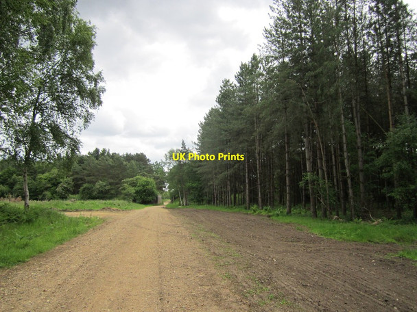 Photo 6"x4" Roudham Heath Illington c2013