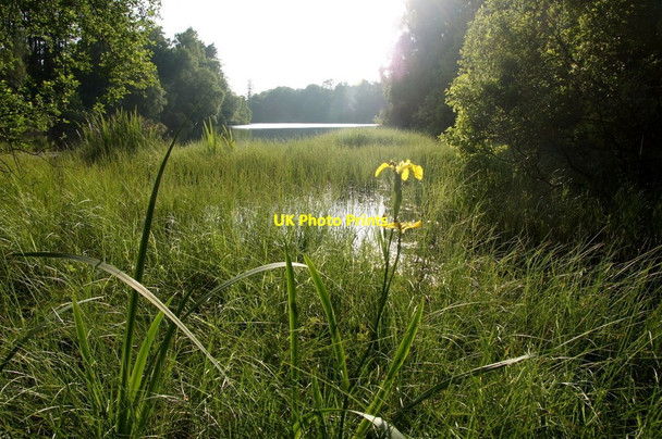 Photo 6"x4" Black Loch, Carsie, near Blairgowrie Muirton of Ardblair c2013 P1