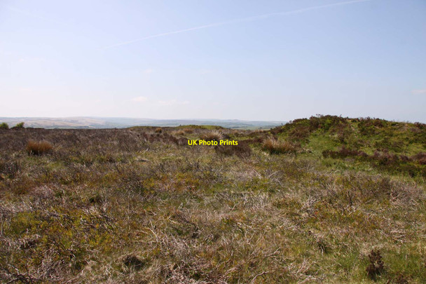 Photo 6"x4" Wambarrows on Winsford Hill Withycombe\/SS8835 c2013