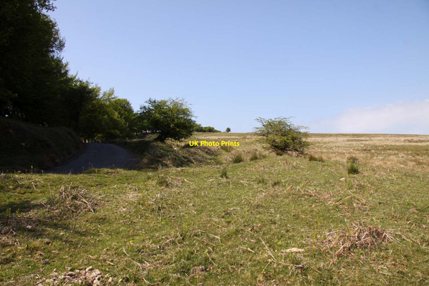 Photo 6"x4" Moorland near Chetsford Bridge Edgcott\/SS8438 c2013