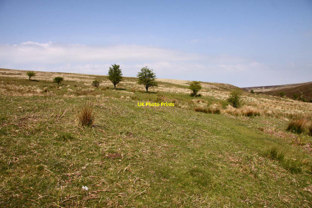 Photo 6"x4" Moorland near Chetsford Water Edgcott\/SS8438 c2013