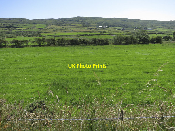Photo 6"x4" Trees by a stream Crookhaven c2013