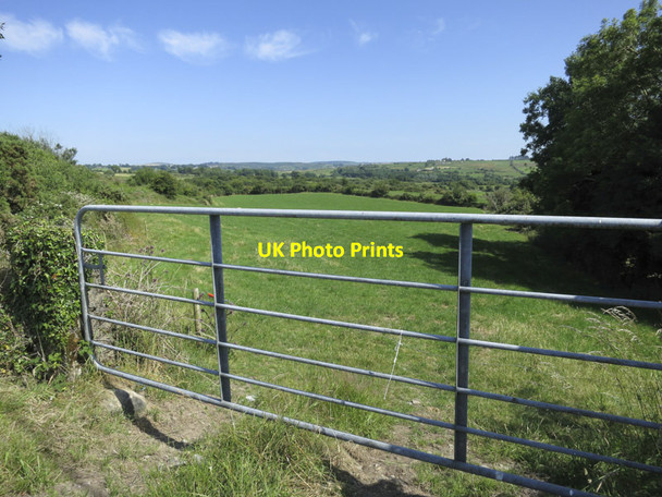 Photo 6"x4" A green Irish field Caheragh c2013
