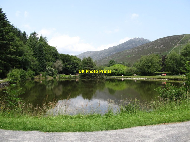 Photo 6"x4" The Duck Pond at Silent Valley Attical c2013