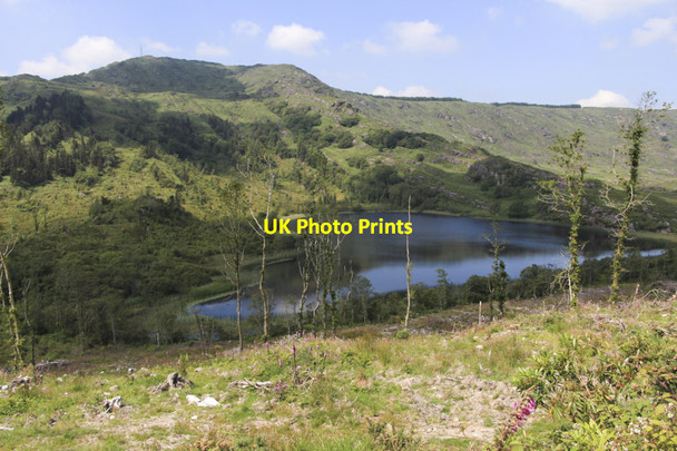Photo 6"x4" A mountain lake Derrynacaheragh c2013
