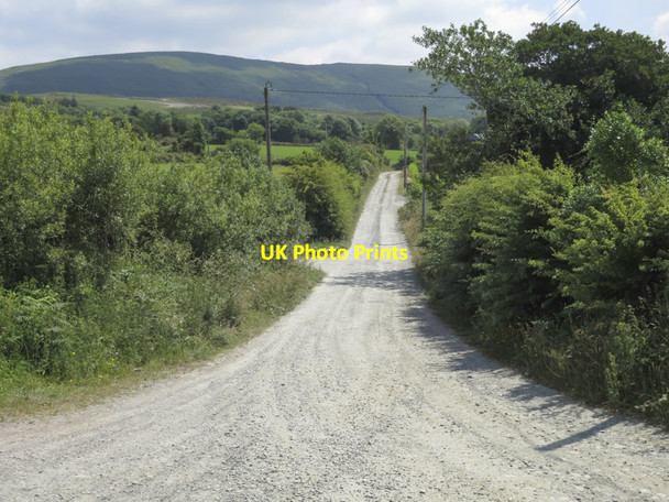 Photo 6"x4" The lane to Coomanore North Kealkill c2013