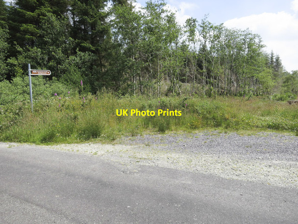 Photo 6"x4" Not sure how easy to follow Dromore\/W0545 c2013