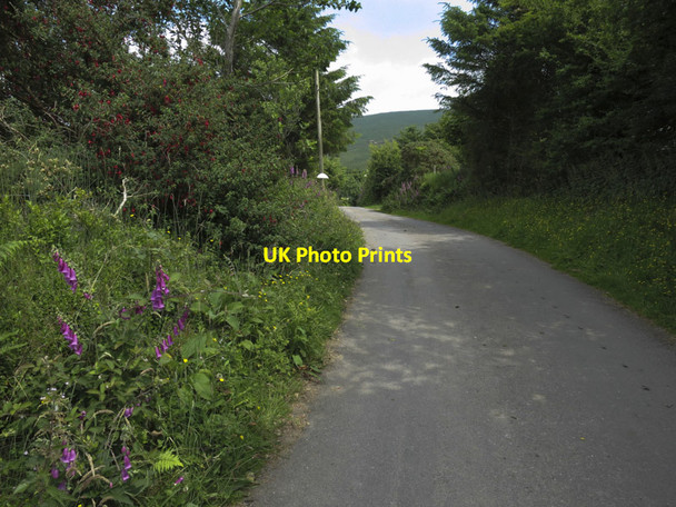Photo 6"x4" Road to the mountain Dromore\/W0545 c2013