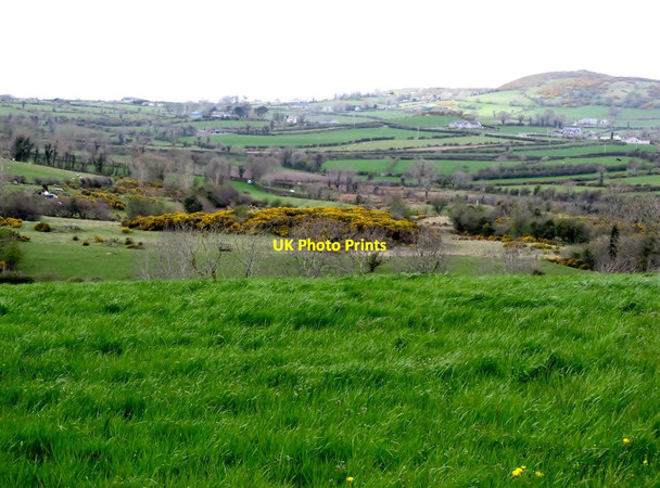 Photo 6"x4" Bog land between Church Hill and Knockiveagh Ballyroney c2013