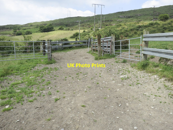 Photo 6"x4" A potpourri of interest Dromore\/W0545 c2013