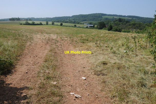 Photo 6"x4" Field entrance Coles Green\/SO7651 c2013