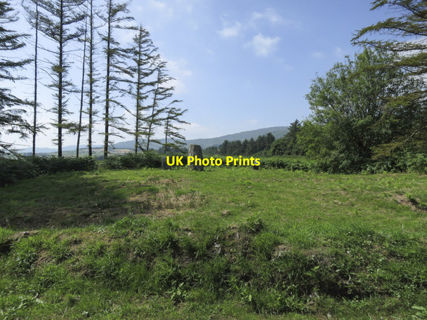 Photo 6"x4" Stone row by the road Drimoleague c2013