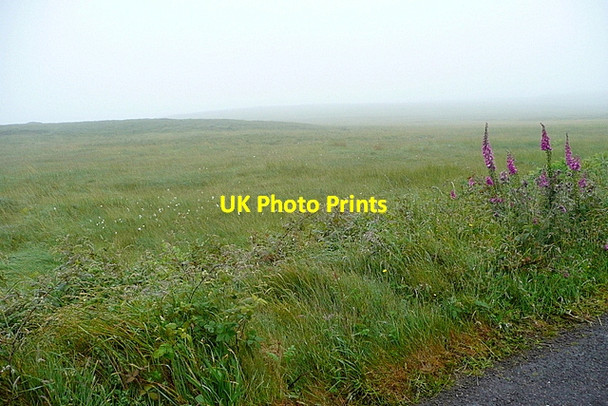 Photo 6"x4" Bog at Ballybane East Ballydehob c2013
